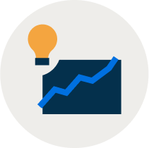 Emerging Markets Icon insights